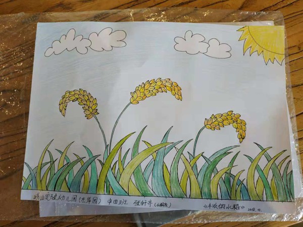 幼儿园稻子的创意美术图片